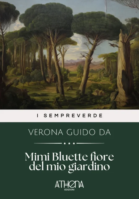 Mimi Bluette fiore del mio giardino